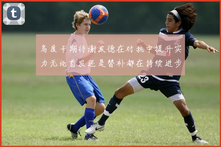 乌度卡期待谢泼德在对抗中提升实力无论首发还是替补都在持续进步