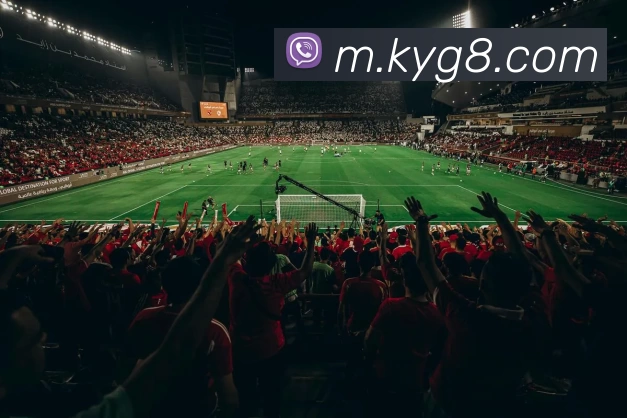 开云棋牌平台生态图